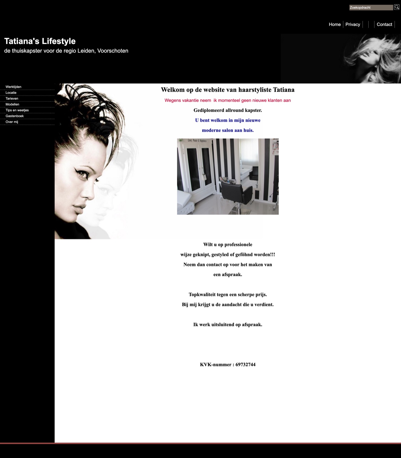 De volledige oude website: kort, donker en gedateerd